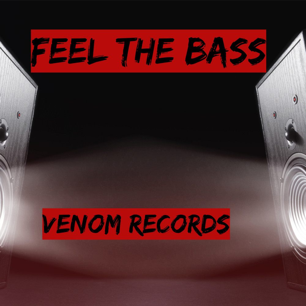 Feel the Bass