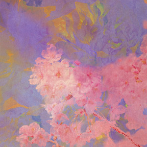 Listen to Kyoto song with lyrics from Nahokimama