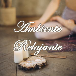 Listen to Ambiente Relajante song with lyrics from Relajación