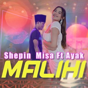 Listen to Malihi song with lyrics from Shepin MIsa