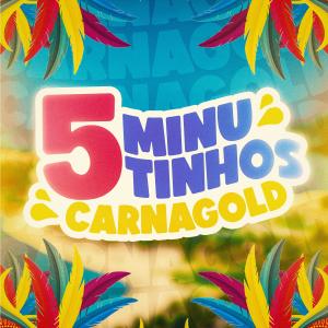 Listen to 5 MINUTINHOS DE CARNAGOLD song with lyrics from Dj LD da Favelinha