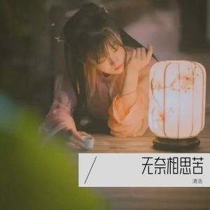 收聽清浩的無奈相思苦 (cover: 潮音老王) (完整版)歌詞歌曲