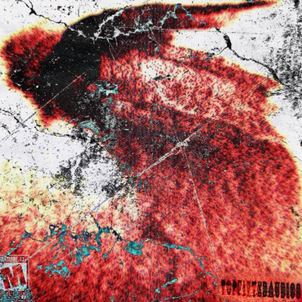 TOP FITTED (feat. WydTron) (Explicit)