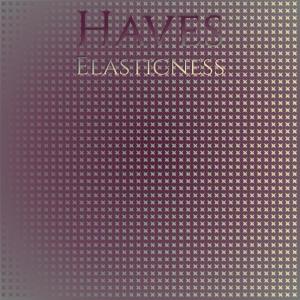 อัลบัม Haves Elasticness ศิลปิน Various