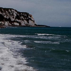 Dengarkan Ocean Lion 3.16 lagu dari Coppice Halifax dengan lirik