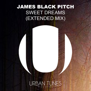 ดาวน์โหลดและฟังเพลง Sweet But Psycho (Extended Mix) พร้อมเนื้อเพลงจาก James Black Pitch