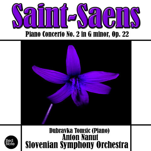 Piano Concerto No. 2 in G minor, Op. 22: I. Andante sostenuto