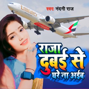 Listen to Raja Dubai Se Ghare Na Aaib song with lyrics from Darde Anil