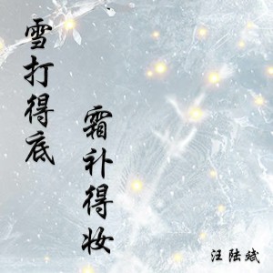 雪打得底霜补得妆 dari 汪陆斌