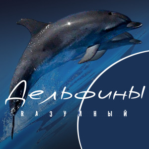 Listen to Дельфины song with lyrics from Rазумный