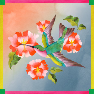 Album Embrasse-fleurs from Various Artists
