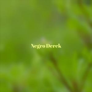 Album Negro Derek from 