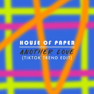 ดาวน์โหลดและฟังเพลง Another Love (TikTok Trend Edit) พร้อมเนื้อเพลงจาก House Of Paper