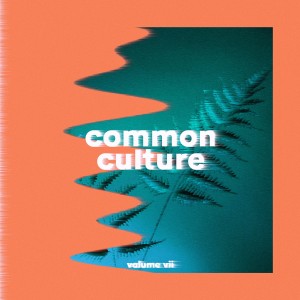 Connor Franta的專輯Common Culture, Vol. VII