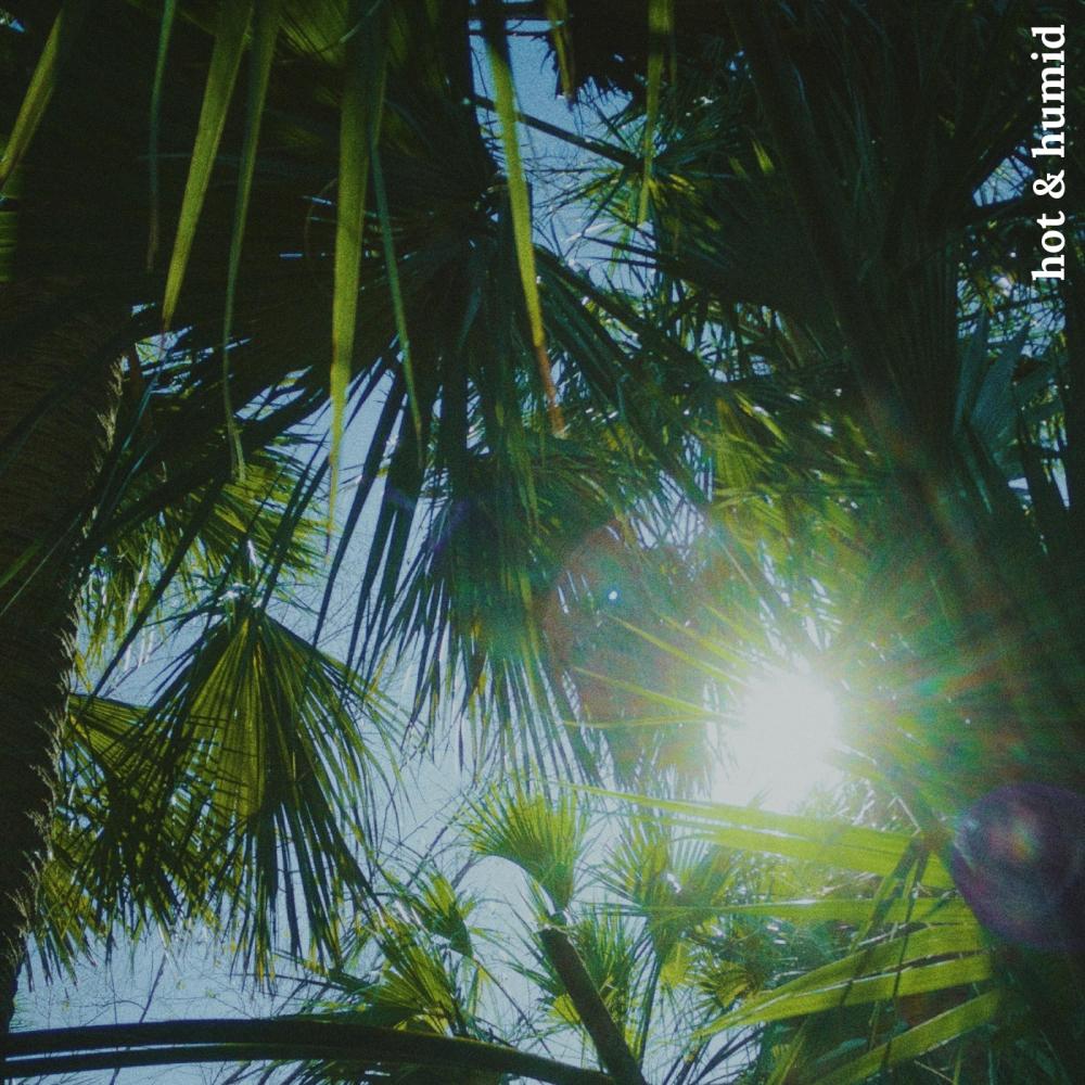 sun's out