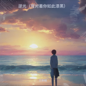 Listen to 逆光（背对着你如此漆黑） song with lyrics from 王新杨