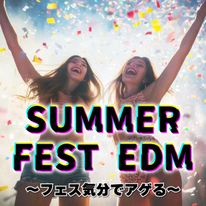 Album SUMMER FEST EDM Feel the Festival Hype from Various Artists