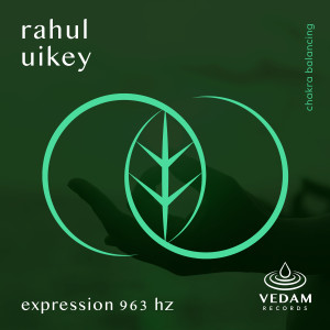 收聽Rahul Uikey的Expression 963 Hz歌詞歌曲