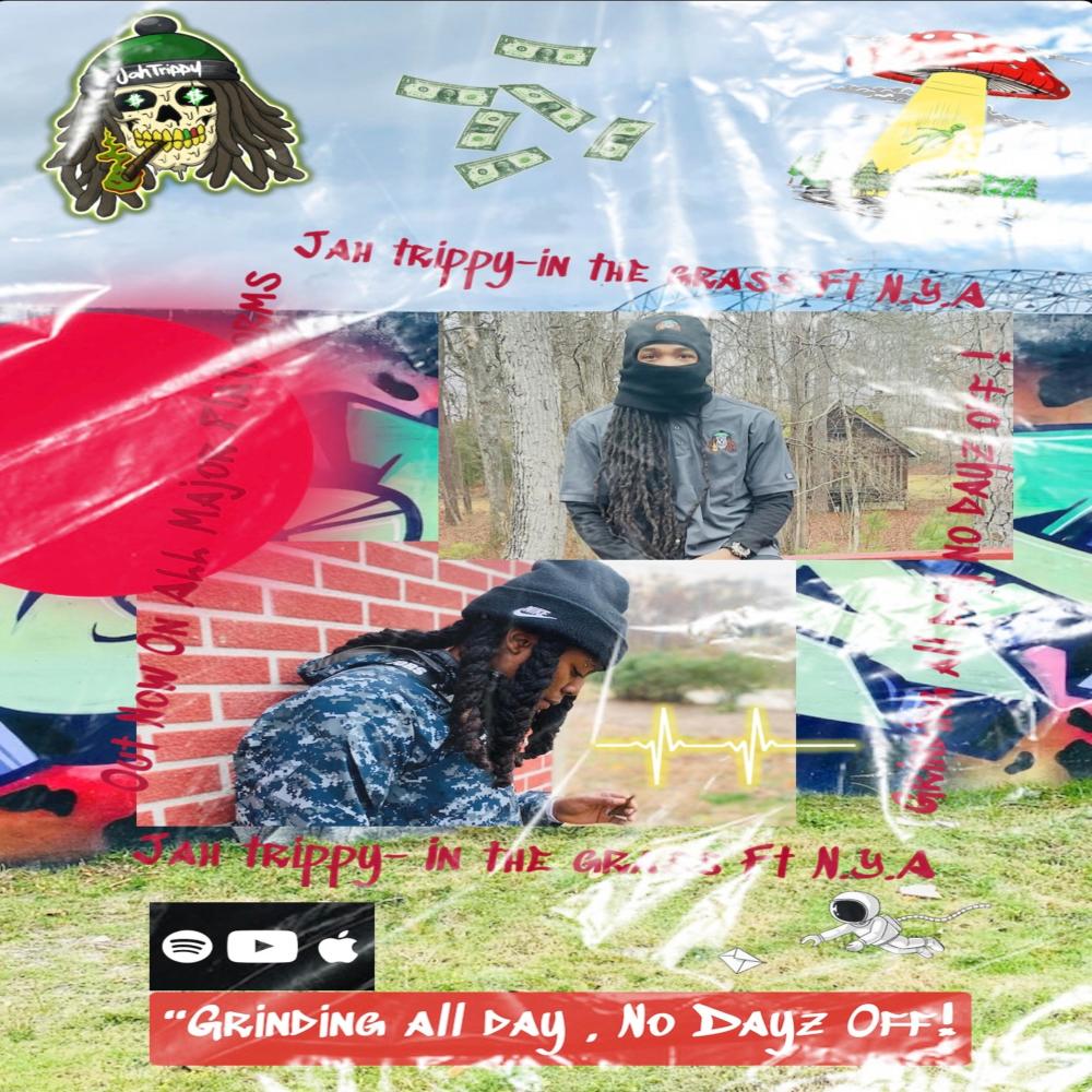 In The Grass (feat. NotYaAverage) (Explicit)