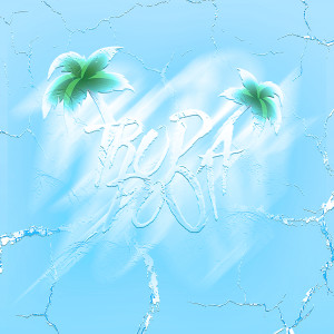 收聽DJ CRT ZS的Tropa do 01歌詞歌曲