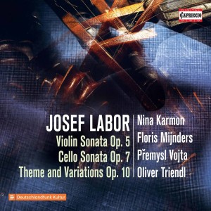 Přemysl Vojta的專輯Labor: Chamber Works
