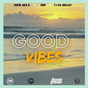 Album Good Vibes from Kupid aka Q