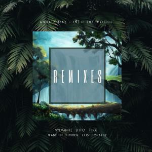 Album Into The Woods (Remixes) from Anna B May