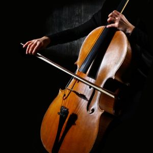 Dengarkan Paint it Black (Cello) [Wednesday from "The Addams Family"] lagu dari Helb Glise dengan lirik