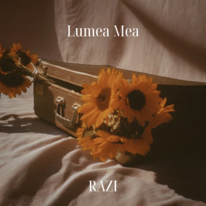 Listen to Intro song with lyrics from Razi