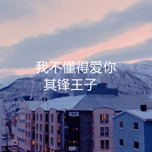 我不懂得爱你 dari 其锋