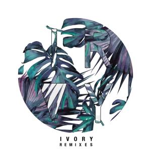 ดาวน์โหลดและฟังเพลง Ivory (Blowsom Remix) พร้อมเนื้อเพลงจาก Tez Cadey