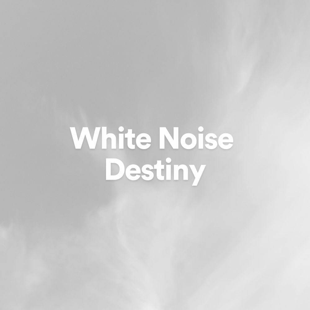 White Noise Contributor