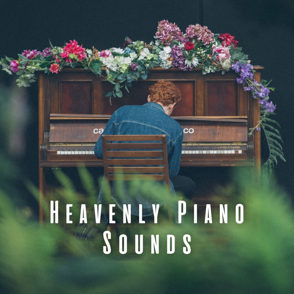 Blissful Piano Serenade