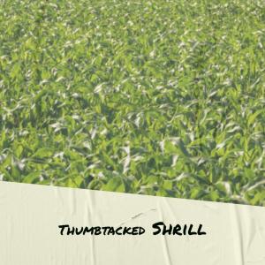 Album Thumbtacked Shrill from Various
