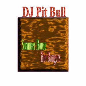 อัลบัม Summer House Hot Bangers ศิลปิน DJ Pit Bull
