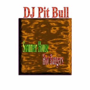 ดาวน์โหลดและฟังเพลง Sizzling in the Sun Grooves พร้อมเนื้อเพลงจาก DJ Pit Bull