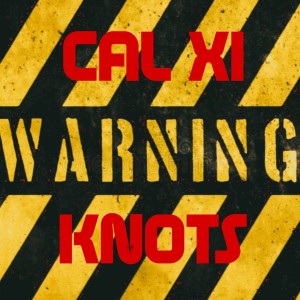 收聽Cal XI的Warning (Explicit)歌詞歌曲