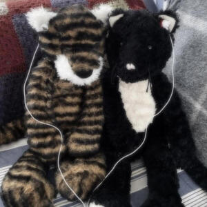 default playlist img