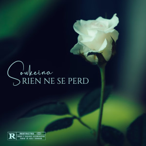 Album Rien ne se perd (Explicit) from 