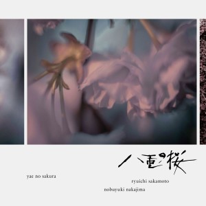 收聽坂本龍一的八重の桜 メインテーマ歌詞歌曲