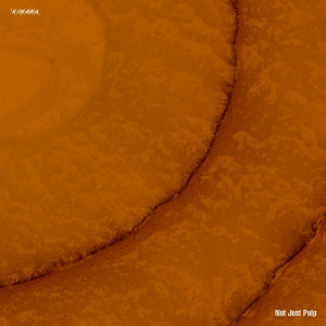 Listen to Phase Contrast song with lyrics from Pre Brooklyn