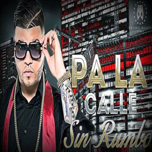 Perreke的专辑Pa' la Calle Sin Rumbo (feat. Perreke)