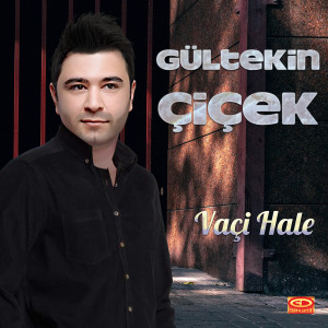 Dengarkan Melli lagu dari Gültekin Çiçek dengan lirik