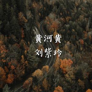 Album 黄河黄 oleh 刘紫玲