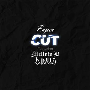 Paper Cut (feat. Mellow D & Swayz) (Explicit)