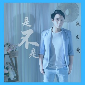 收聽朱習愛的是不是 (伴奏)歌詞歌曲