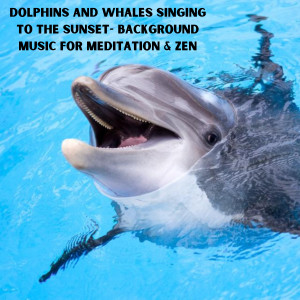 Dolphins and Whales Singing to the Sunset- Background Music for Meditation & Zen