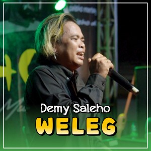 Album Weleg from DEMY YOKER