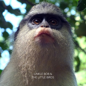 Listen to Take It Back song with lyrics from Unkle Bob