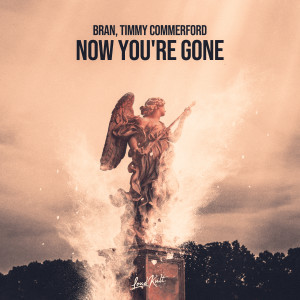 Timmy Commerford的專輯Now You're Gone